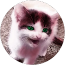 Profilbild von „Martin S.“